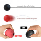 PunchPro Reflex Ball for Boxing Training