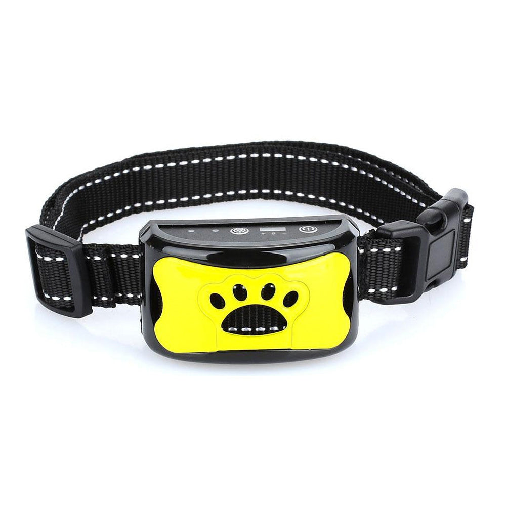 Harmony and comfort for four-legged friends