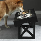 PupLift | The Elevated Dog Bowl