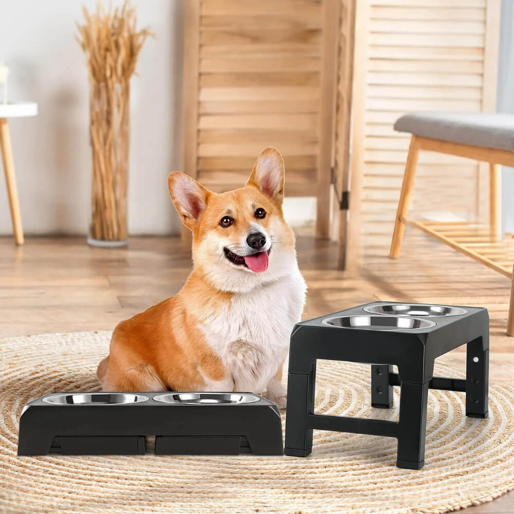 PupLift Elevated Dog Bowl – Ergonomic & Slow Feeding for Healthy Meals