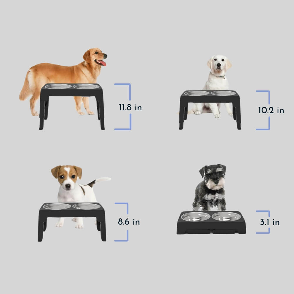 PupLift Elevated Dog Bowl – Ergonomic & Slow Feeding for Healthy Meals