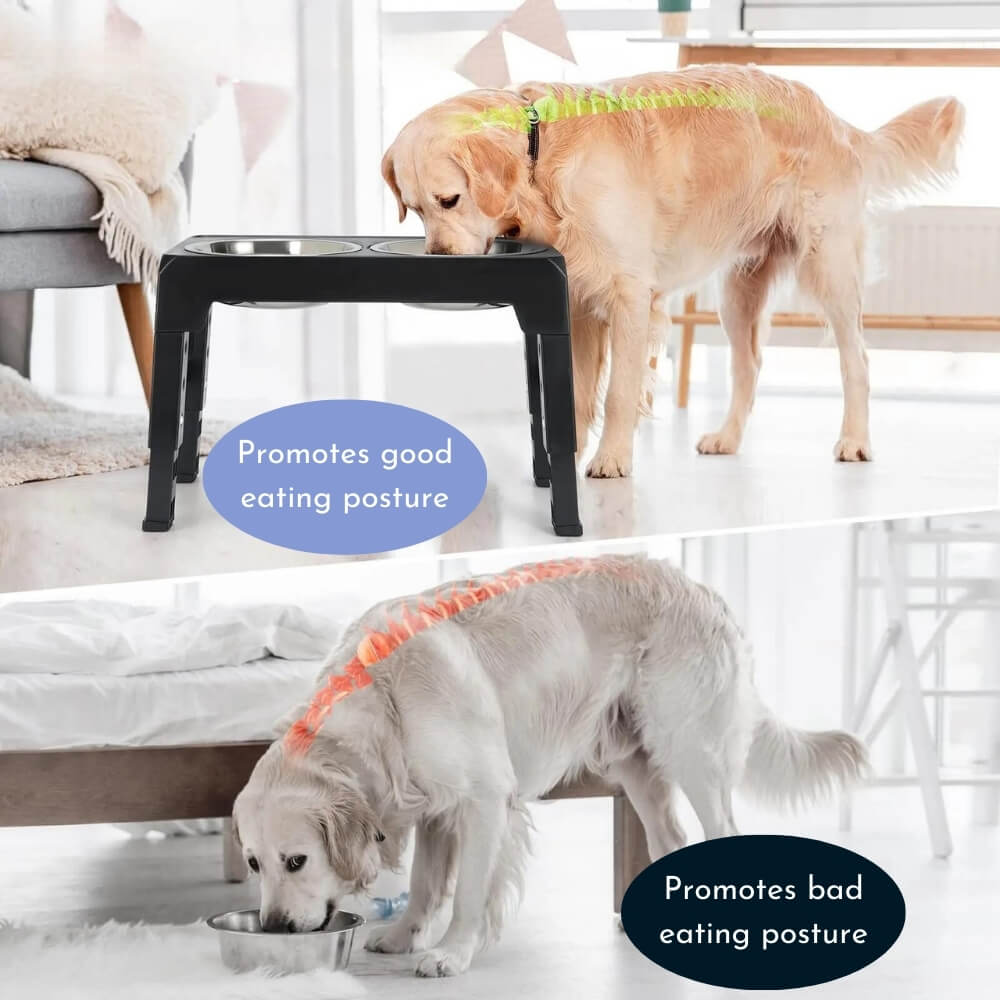 PupLift Elevated Dog Bowl – Ergonomic & Slow Feeding for Healthy Meals