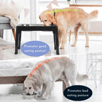 PupLift Elevated Dog Bowl – Ergonomic & Slow Feeding for Healthy Meals