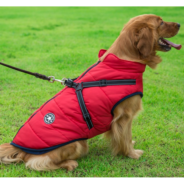 WoofGuard - Waterproof Winter Jacket with Integrated Harness