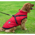 WoofGuard - Waterproof Winter Jacket with Integrated Harness