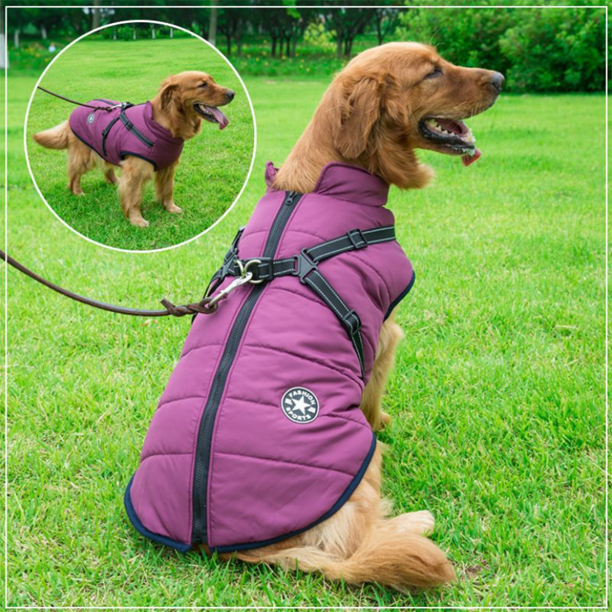 WoofGuard - Waterproof Winter Jacket with Integrated Harness