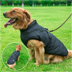 WoofGuard - Waterproof Winter Jacket with Integrated Harness