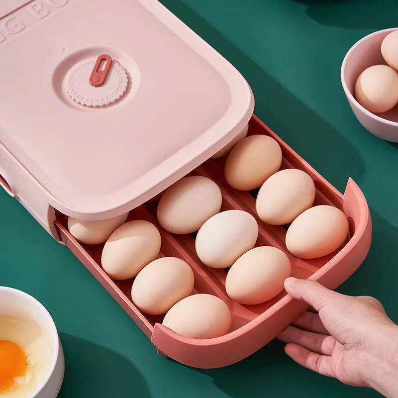 Egg Storage System with Date Printer Optimal Organization in Your Kitchen