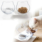 Raised Cat Bowl - ErgoBowl