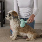 Fresh Groom Steam Spray Pet Brush