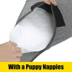 RecoverEase - Professional Dog Recovery Suit
