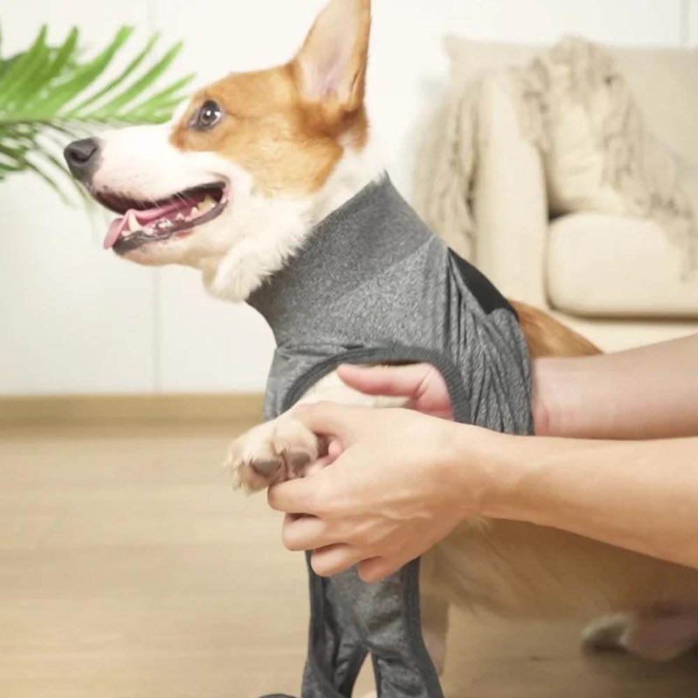 RecoverEase - Professional Dog Recovery Suit