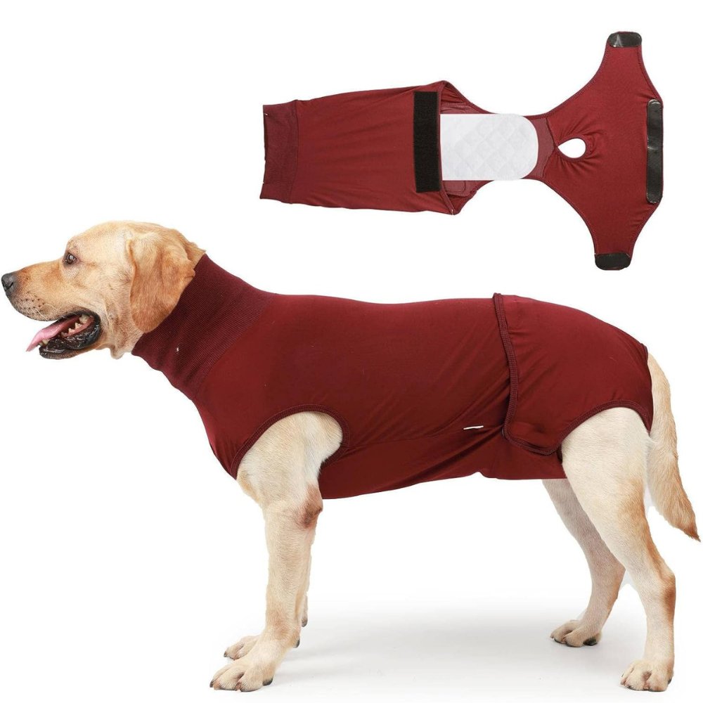 RecoverEase - Professional Dog Recovery Suit