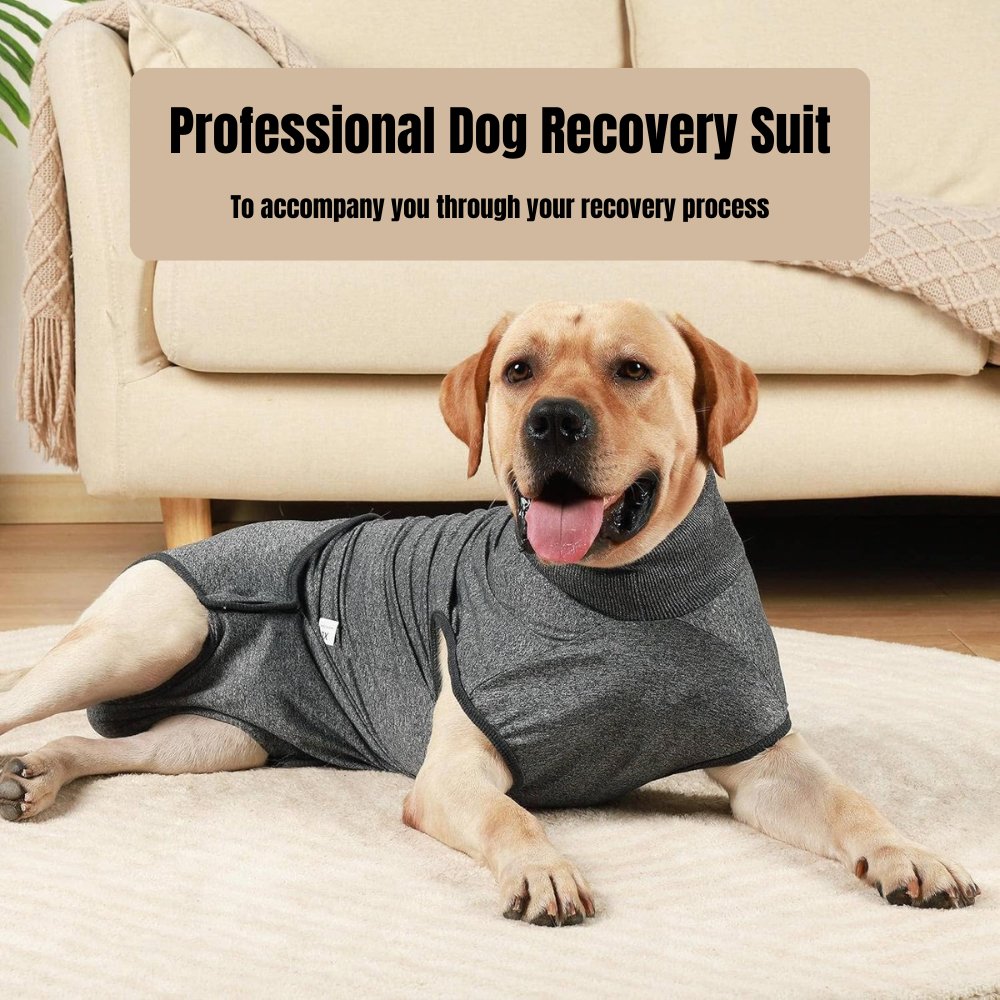 RecoverEase - Professional Dog Recovery Suit