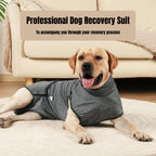 RecoverEase - Professional Dog Recovery Suit
