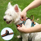 ReflectaGuard - No Pull Dog Harness