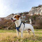 ReflectaGuard - No Pull Dog Harness