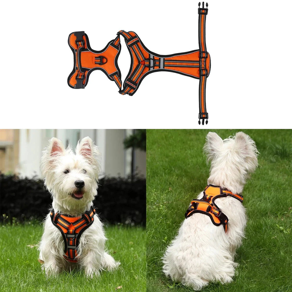 ReflectaGuard - No Pull Dog Harness