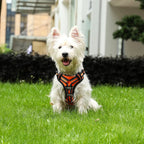 ReflectaGuard - No Pull Dog Harness