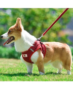 ReflectaHarness - No Pull Dog Harness