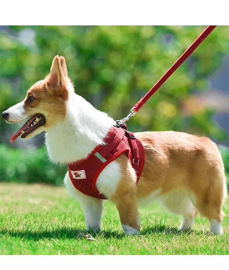 ReflectaHarness - No Pull Dog Harness