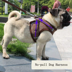 ReflectaHarness - No Pull Dog Harness