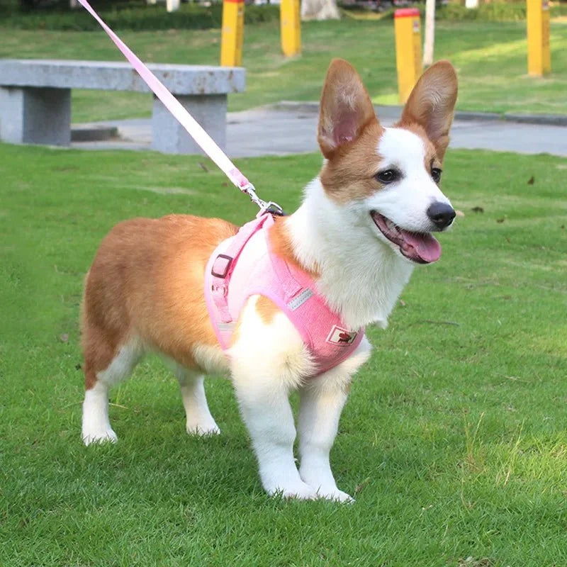 ReflectaHarness - No Pull Dog Harness