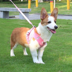 ReflectaHarness - No Pull Dog Harness