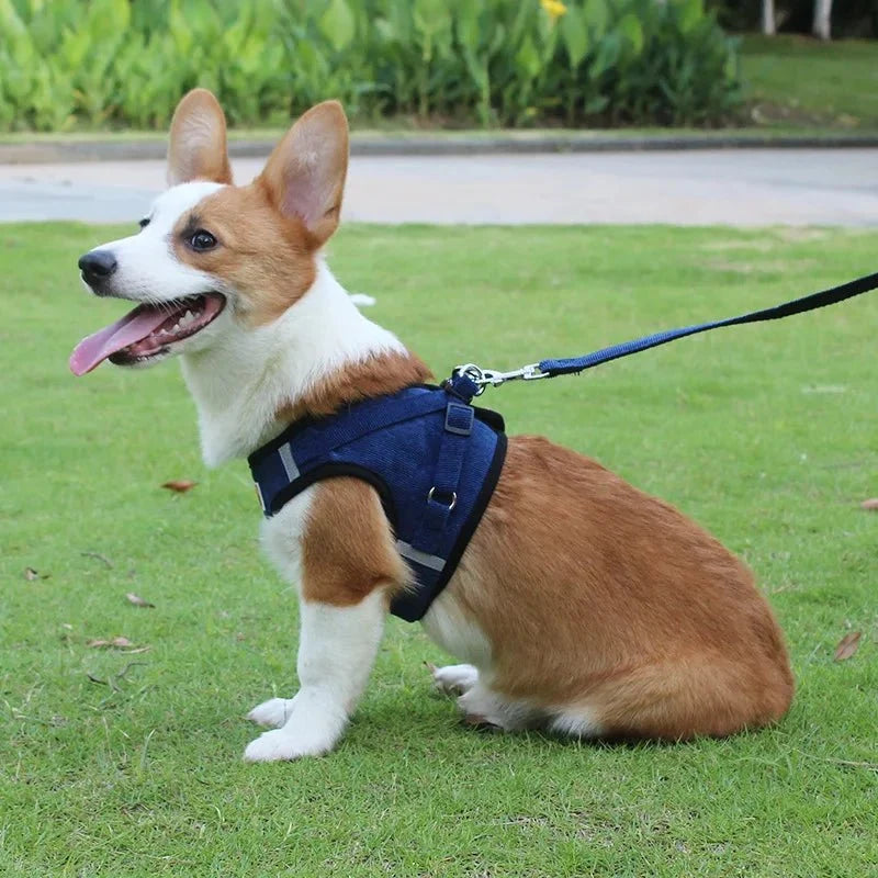 ReflectaHarness - No Pull Dog Harness