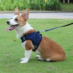 ReflectaHarness - No Pull Dog Harness
