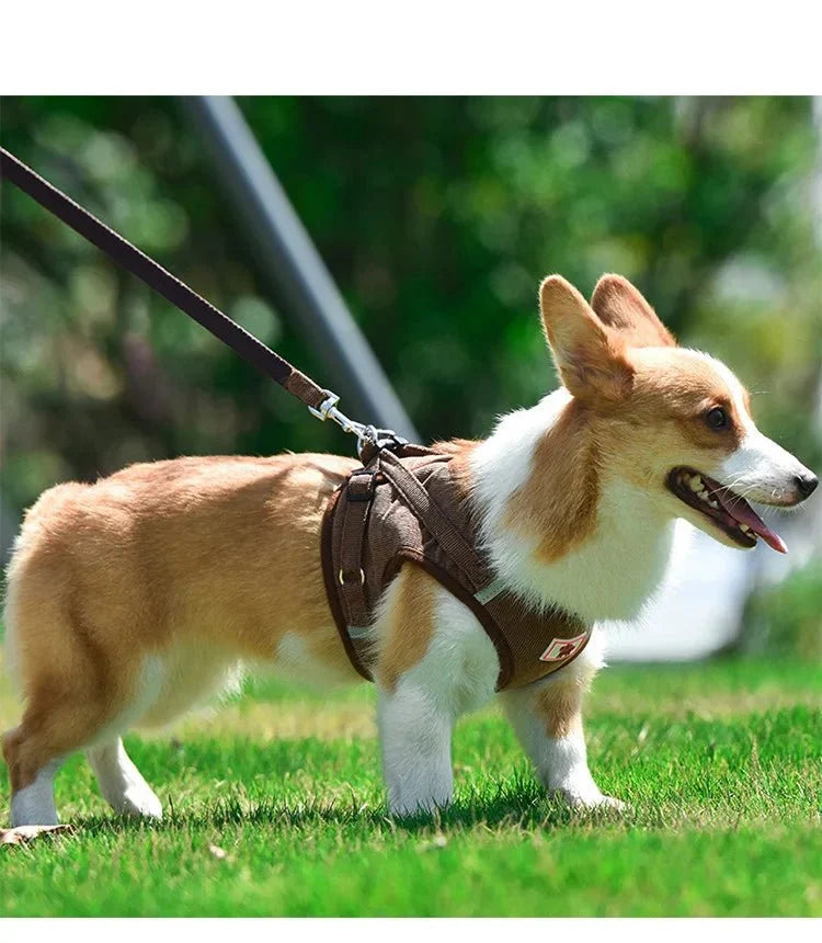 ReflectaHarness - No Pull Dog Harness