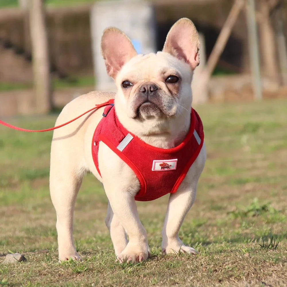 ReflectaHarness - No Pull Dog Harness