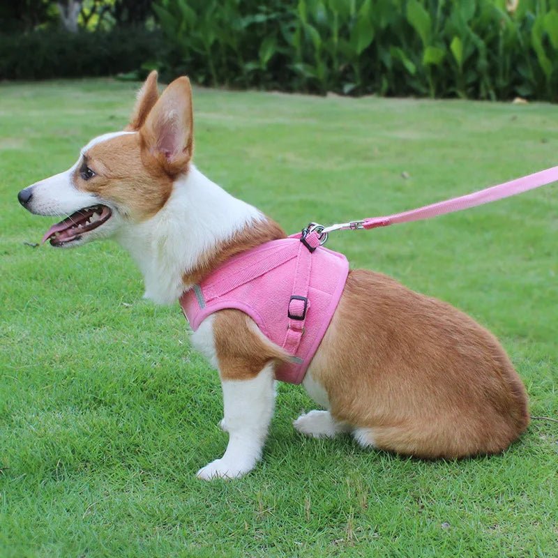 ReflectaHarness - No Pull Dog Harness