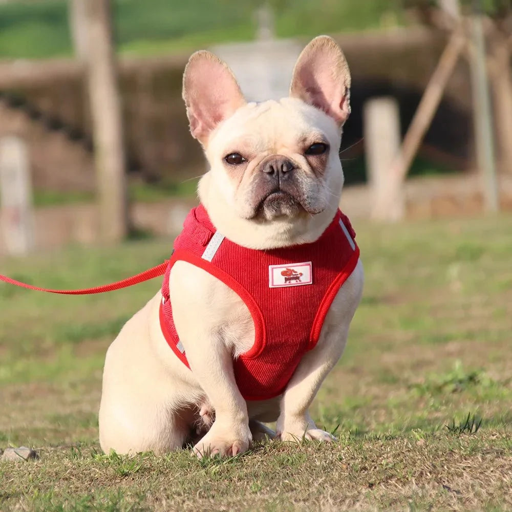 ReflectaHarness - No Pull Dog Harness