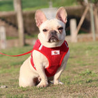 ReflectaHarness - No Pull Dog Harness