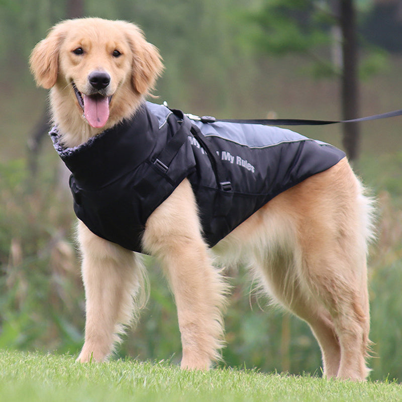 Reflective Dog Jacket with Harness - GlowPaw™