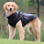 Reflective Dog Jacket with Harness - GlowPaw™