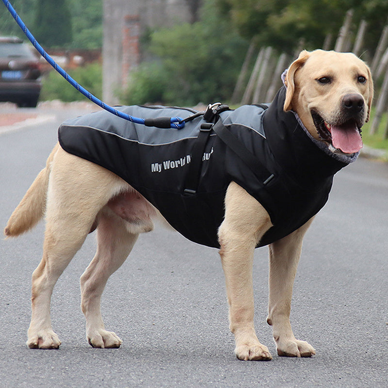Reflective Dog Jacket with Harness - GlowPaw™