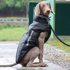 Reflective Dog Jacket with Harness - GlowPaw™