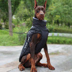 Reflective Dog Jacket with Harness - GlowPaw™