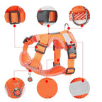 Reflective Harness and Leash Set for Small Dogs - AirFlex