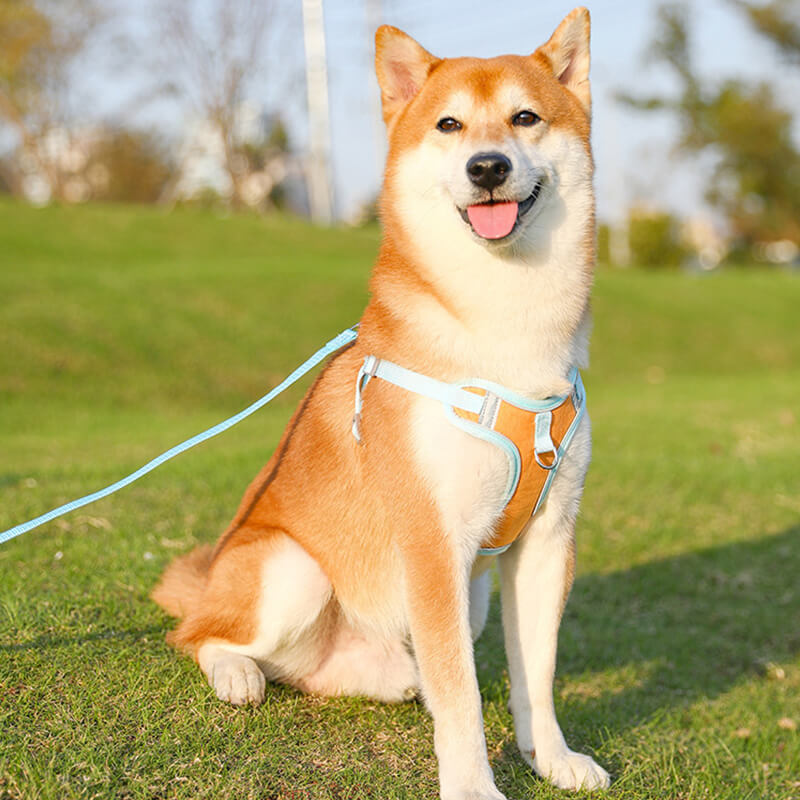 Reflective Puppy Harness - BrightPaw
