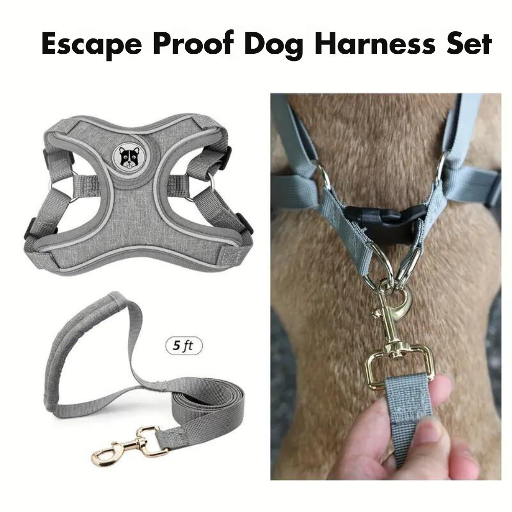 ReflectoLeash - No Pull Dog Harness