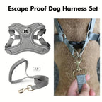 ReflectoLeash - No Pull Dog Harness