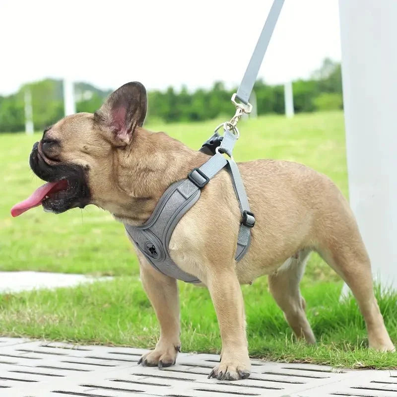 ReflectoLeash - No Pull Dog Harness