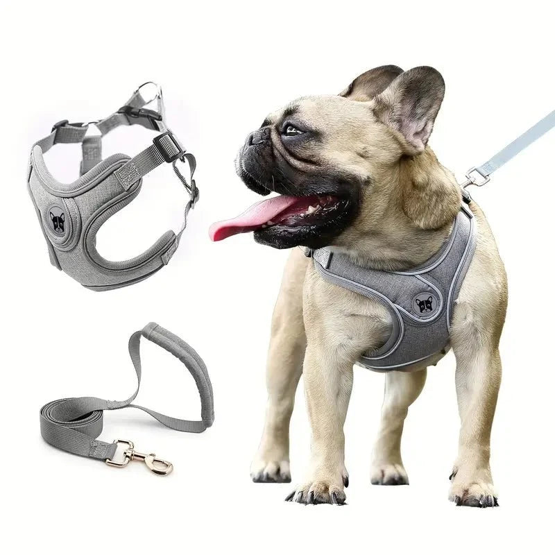 ReflectoLeash - No Pull Dog Harness