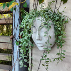 Resin Human Face Hanging Planter - FaceVibe