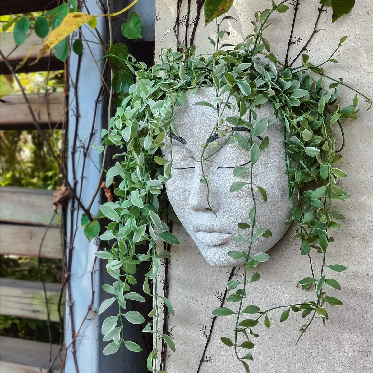 Resin Human Face Hanging Planter - FaceVibe