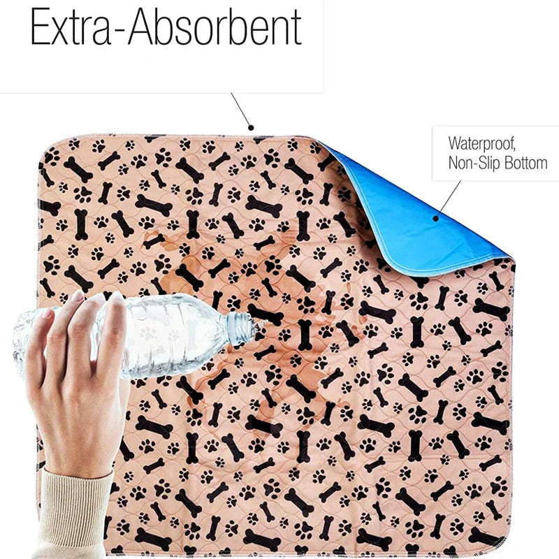 Reusable Plasma for Dogs - EcoPad