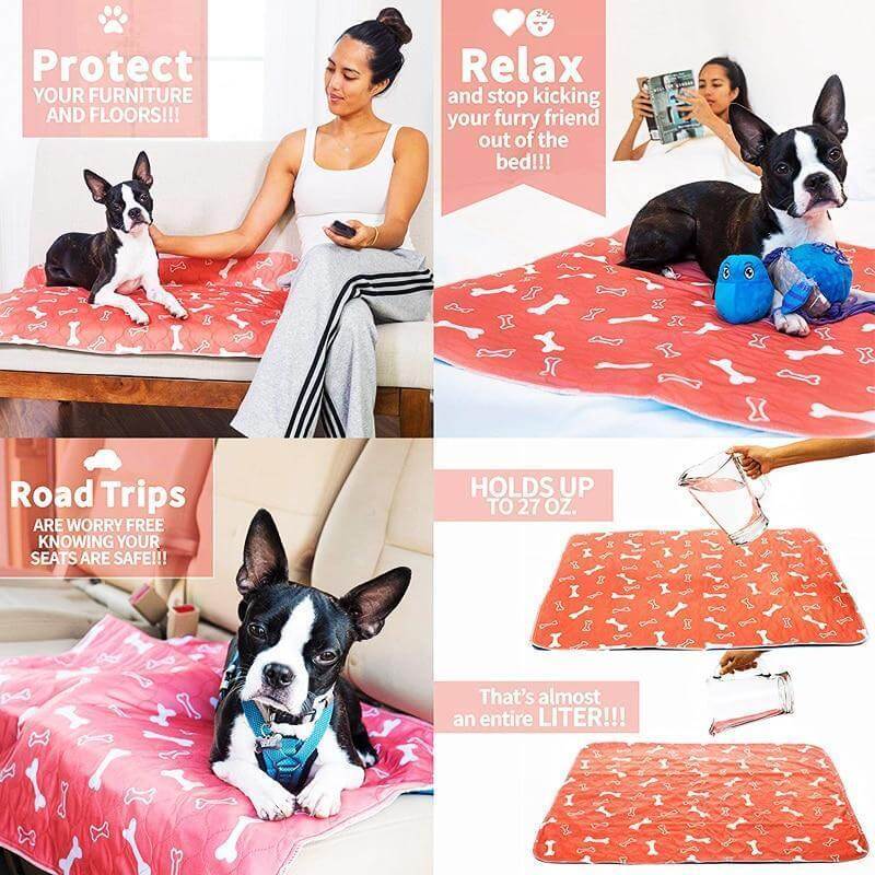 Reusable Plasma for Dogs - EcoPad